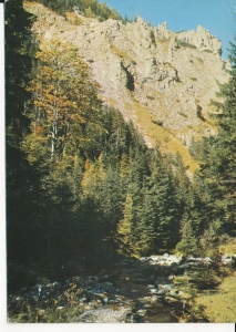 Tatry Dolina Strążyska - 055396