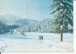 Zakopane Pod Reglami - 055400
