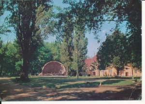 Międzychód park miejski - 055422