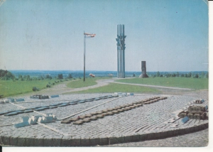 Grunwald pomnik - 055426