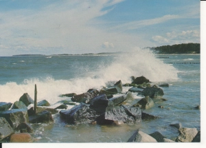 Bałtyk morze brzeg - 055441
