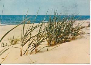 Bałtyk morze plaża - 055443