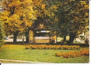Piwniczna zabytkowa studnia - 055516