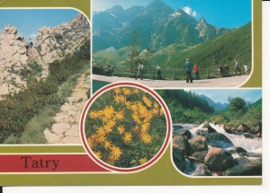 Tatry widoki widokowa - 055542