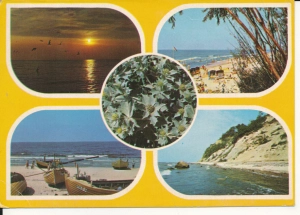 Bałtyk morze plaża - 055550