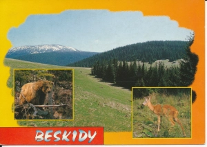 Beskidy widoki widokowa - 055574