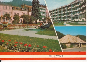 Muszyna widoki widokowa - 055617
