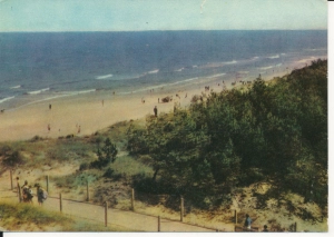 Mrzeżyno brzeg morski plaża - 055652