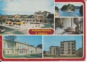 Żywiec widoki widokowa - 055747