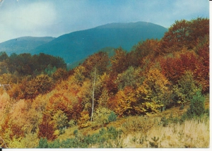 Bieszczady widok na Smerek - 055782