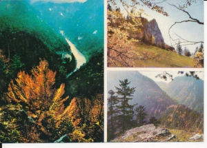 Pieniny widoki widokowa - 055901