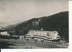 Wisła Malinka DW Gazownik - 056044