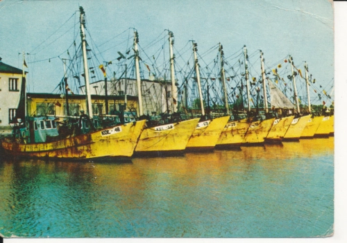 IMG_0019.jpg