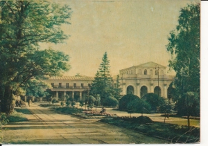 Busko Zdrój park zdrojowy - 056089