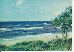 Bałtyk morze plaża - 056095