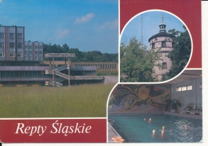 Repty Śląskie widokowa - 056119