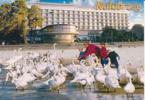 Kołobrzeg widoki - 056216