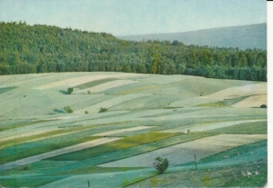 Góry Świętokrzyskie - 056233