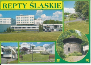 Repty Śląskie widokowa - 056240