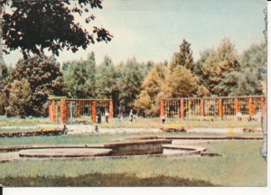 Dąbrowa Górnicza park Zielona - 056305