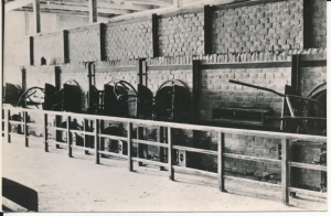 Majdanek Muzeum krematorium - 056318
