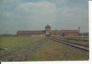 Auschwitz Brzezinka - 056333