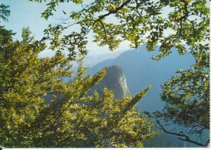 Pieniny Sokolica - 056362