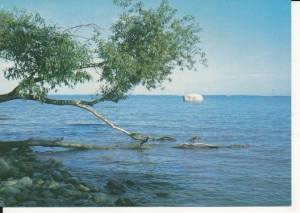 Krynica Morska Święty Kamień - 056365