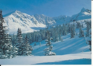 Tatry Dolina Gąsienicowa - 056369