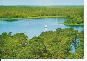 Pojezierze Augustowskie jezioro Białe - 056378