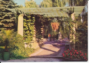Bydgoszcz Ogród Botaniczny - 056470