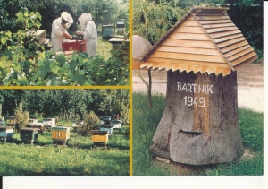 Mrocza gospodarstwo pszczelarskie - 056489