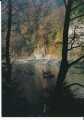 IMG_0085.jpg