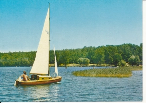 Kiekrz na jeziorze - 056501