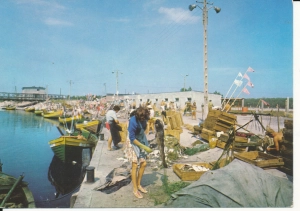 Dźwirzyno port rybacki - 056504