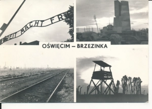 Oświęcim Brzezinka widokowa - 056599