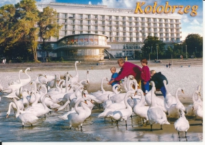 Kołobrzeg plaża łabędzie - 056622