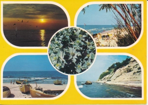Bałtyk morze widokowa - 056641