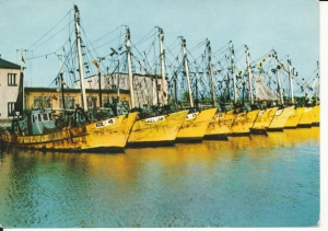 Kołobrzeg kutry w porcie - 056688