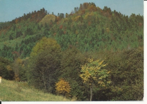 Bieszczady Pasmo Ostrego - 056691