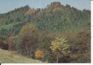 Bieszczady Pasmo Ostrego - 056791