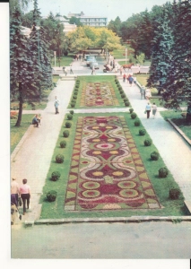 Ciechocinek dywan kwiatowy - 056832