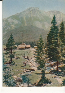 Tatry Polana Chochołowska - 056939