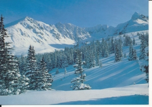 Tatry Dolina Gąsienicowa - 056956