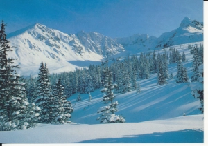 Tatry Dolina Gąsienicowa - 056959