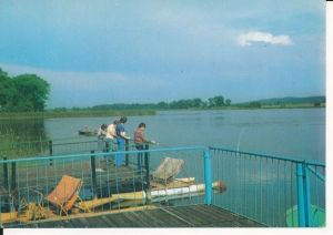 Osieczna jezioro Łoniewskie - 056963