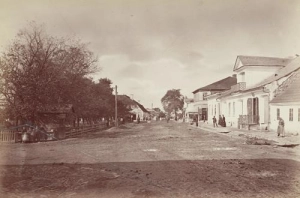Busko Zdrój - Reprodukcja 42549