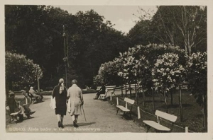 Busko Zdrój park - Reprodukcja 42555