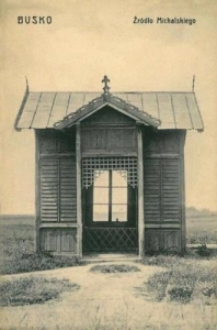 Busko Zdrój - Reprodukcja 42592