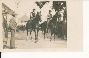 Stara fotografia pocztówkowa konie - 230z